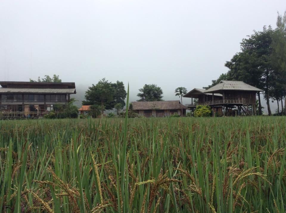 Mazipai Camping Villa Kültér fotó