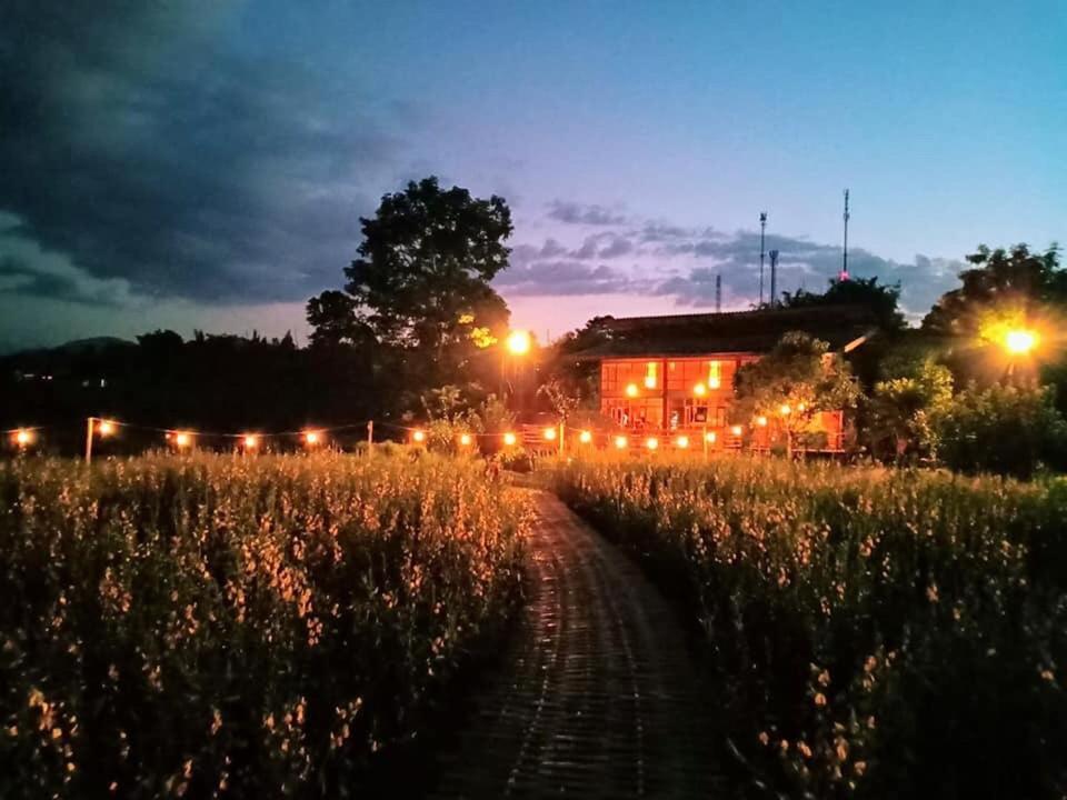 Mazipai Camping Villa Kültér fotó